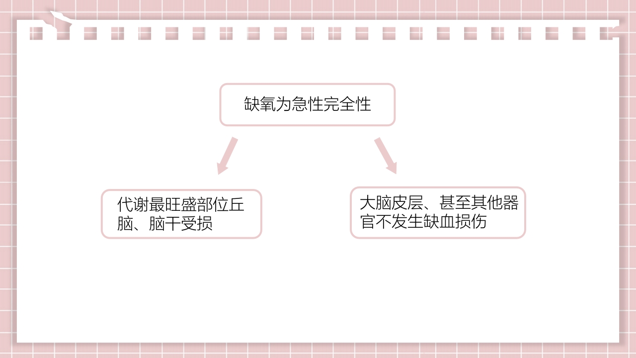新生儿缺氧缺血性脑病PPT课件11