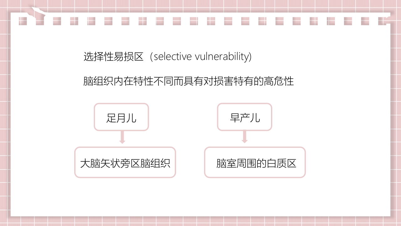 新生儿缺氧缺血性脑病PPT课件12