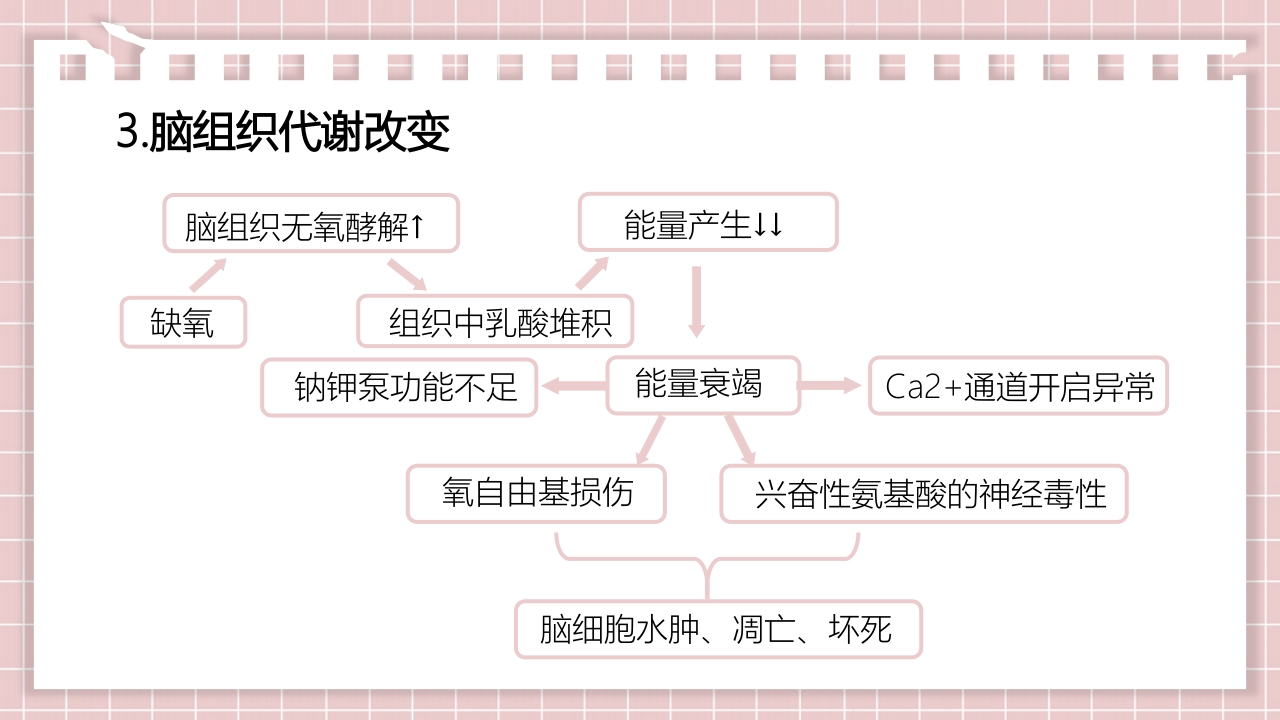 新生儿缺氧缺血性脑病PPT课件14