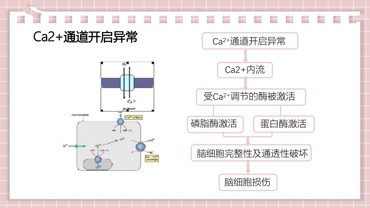 新生儿缺氧缺血性脑病PPT课件16
