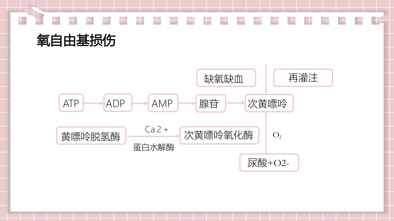 新生儿缺氧缺血性脑病PPT课件17