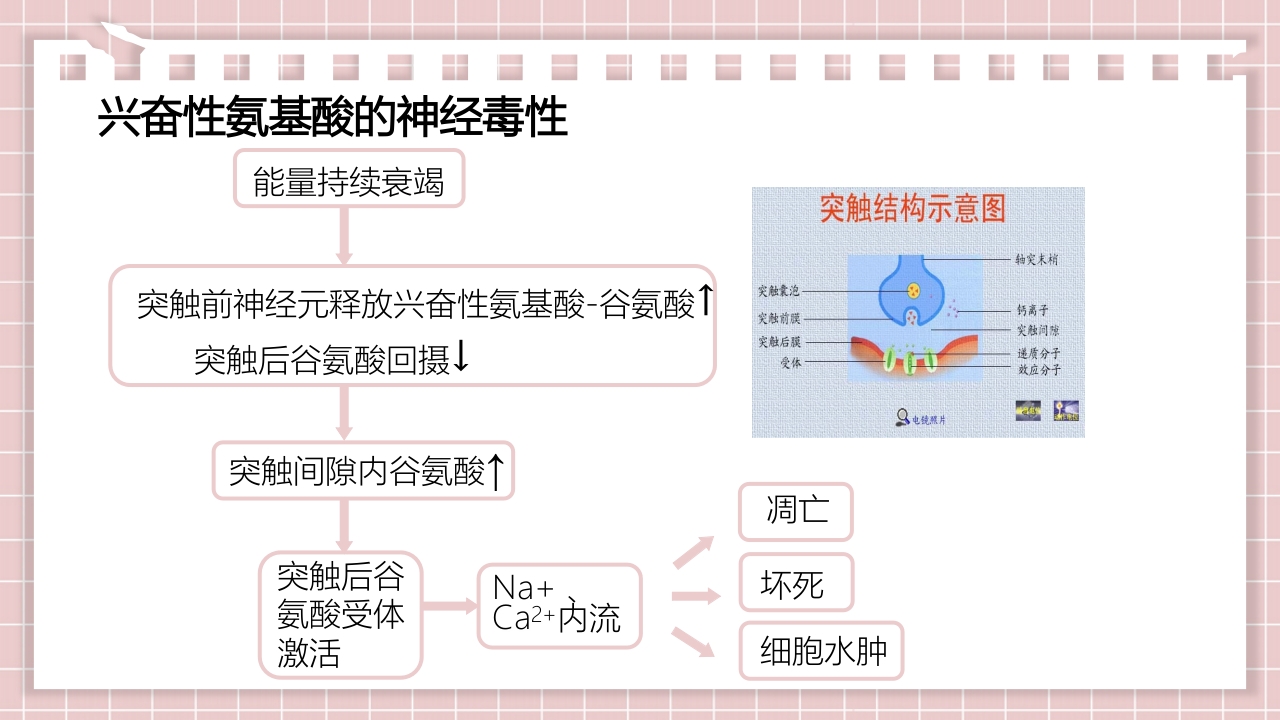 新生儿缺氧缺血性脑病PPT课件18