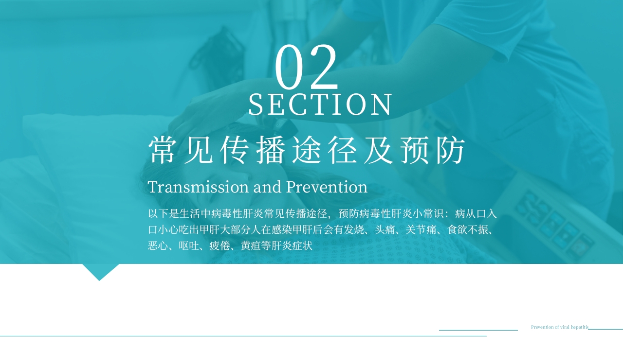 病毒性肝炎预防与治疗PPT课件下载11