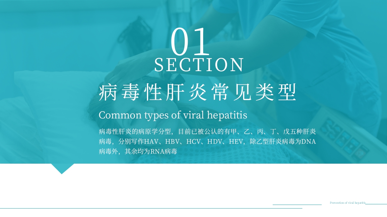 病毒性肝炎预防与治疗PPT课件下载3