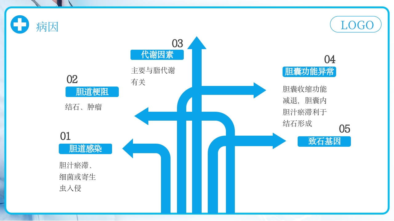 胆囊结石护理查房PPT课件下载12