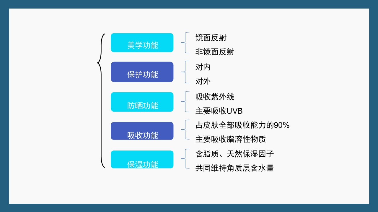敏感性皮肤及修复策略PPT课件13