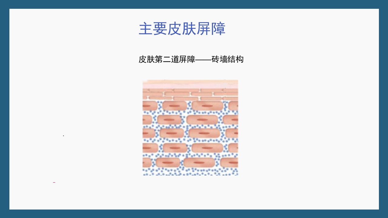 敏感性皮肤及修复策略PPT课件19