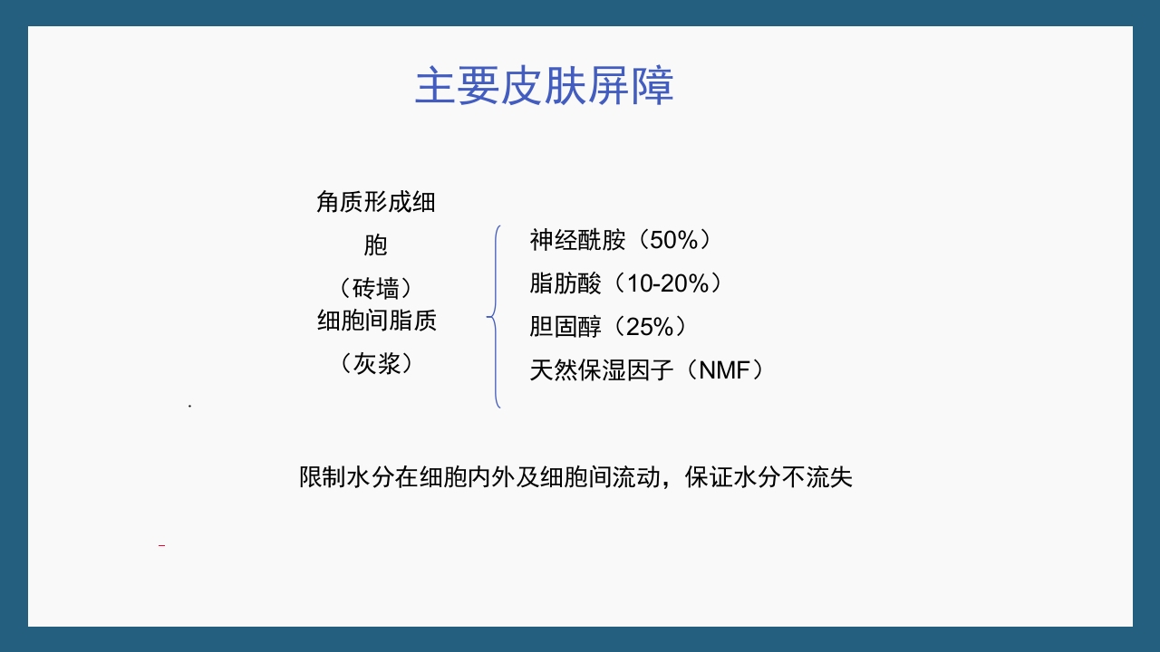 敏感性皮肤及修复策略PPT课件20