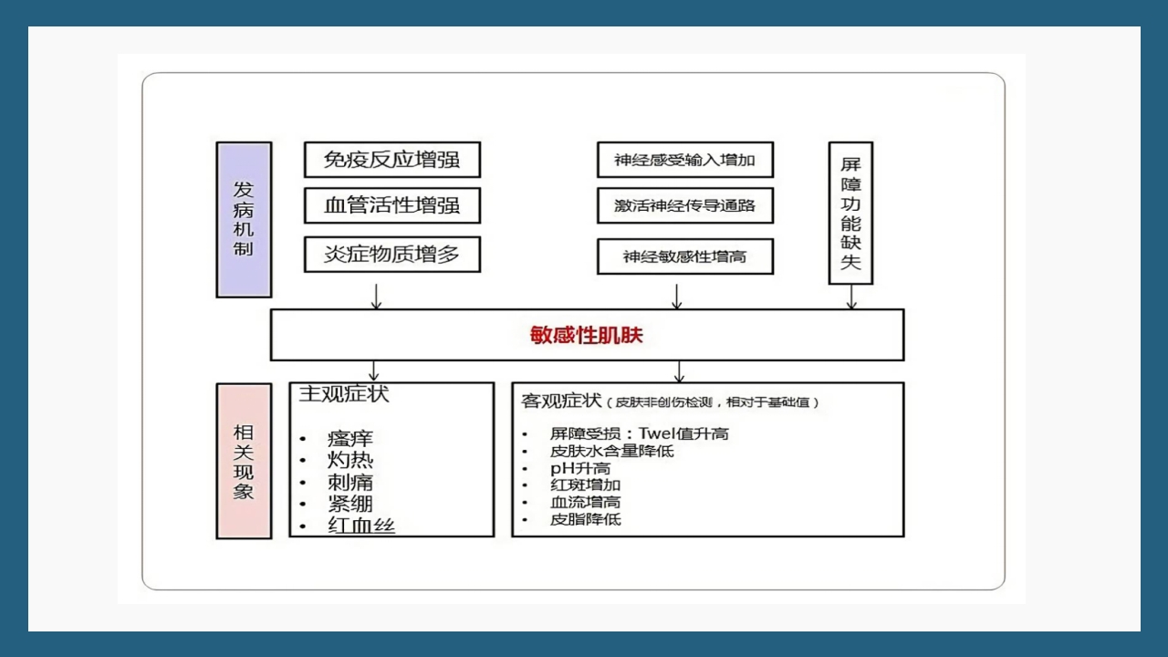 敏感性皮肤及修复策略PPT课件26