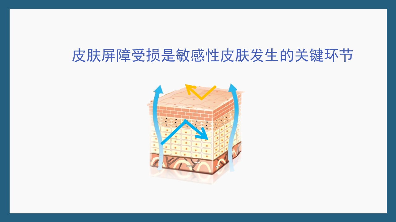 敏感性皮肤及修复策略PPT课件27