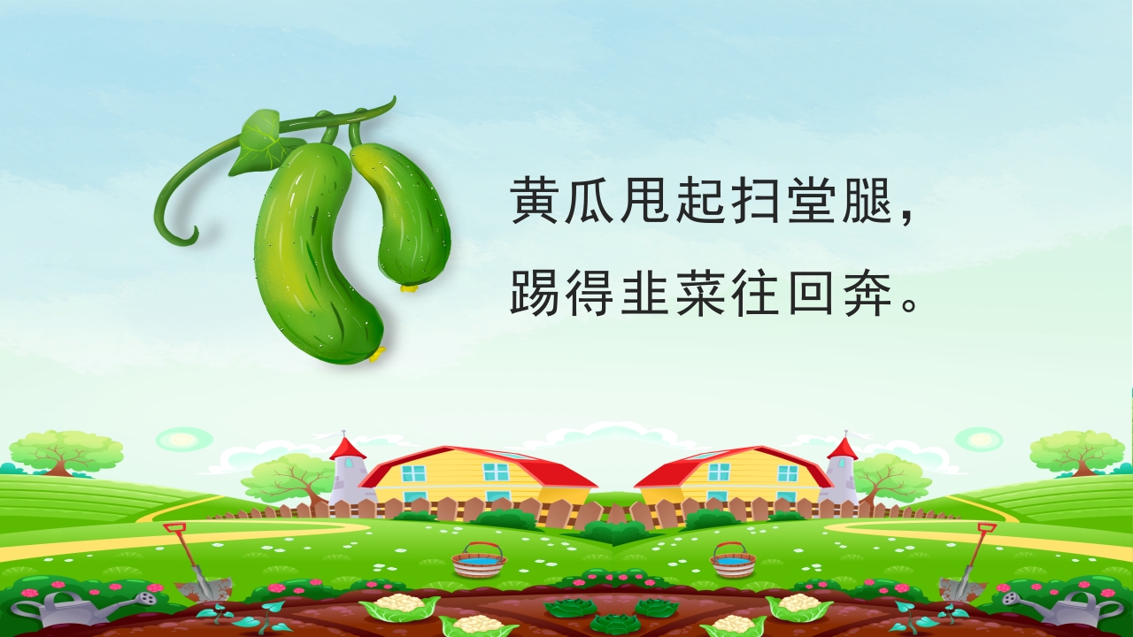 《一园青菜成了精》幼儿绘本故事PPT课件11