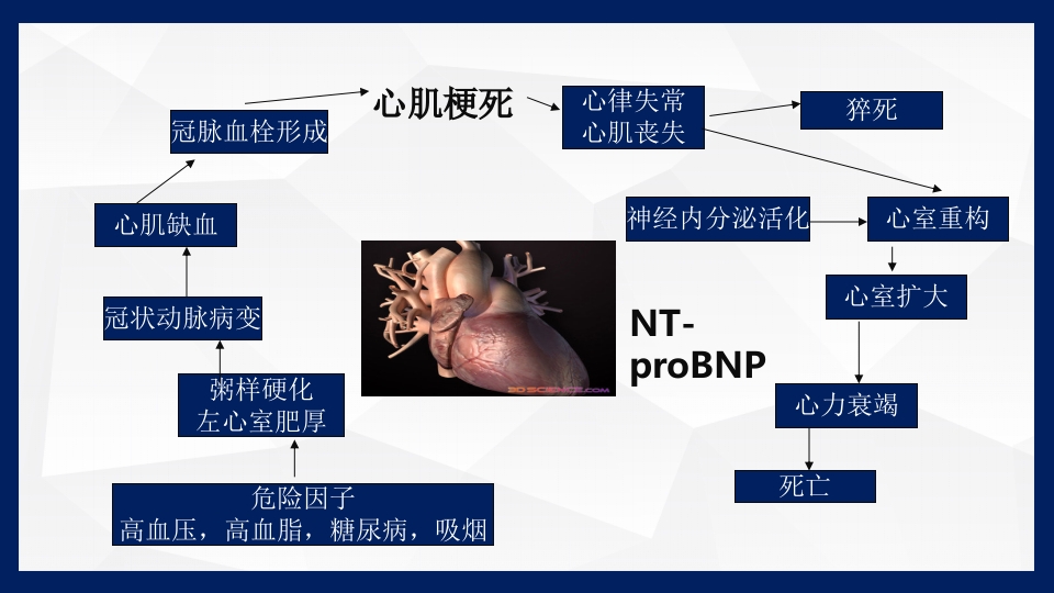 冠心病的中医药防治PPT课件下载9