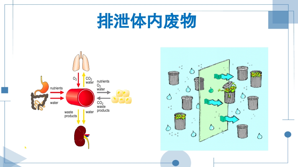 血液透析护理查房PPT课件下载10