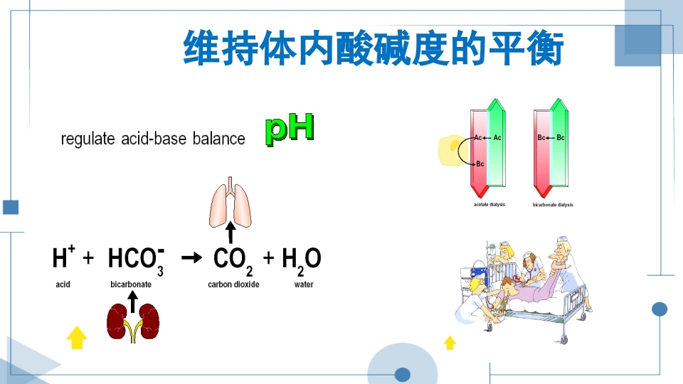 血液透析护理查房PPT课件下载12