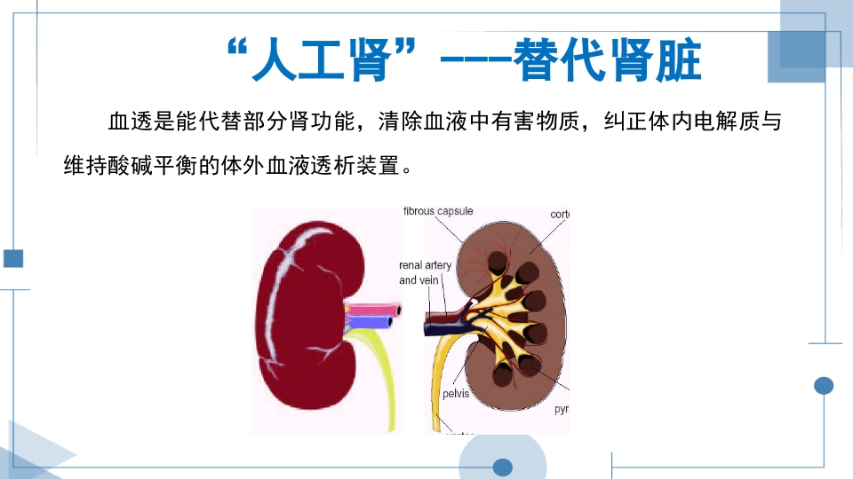 血液透析护理查房PPT课件下载8
