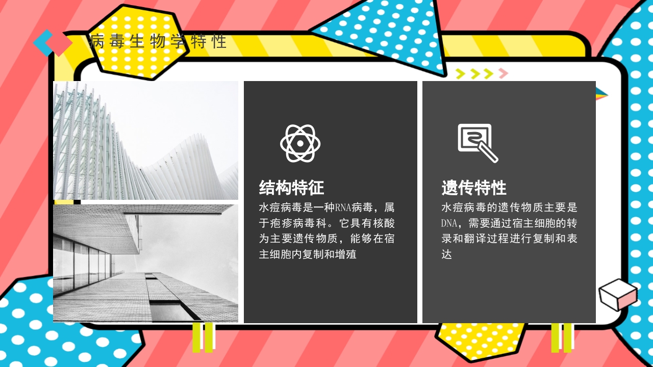 水痘带状疱疹病毒PPT课件下载9