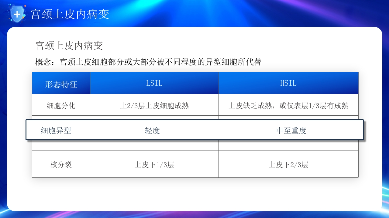 人乳头瘤病毒与宫颈癌的防治培训PPT课件20