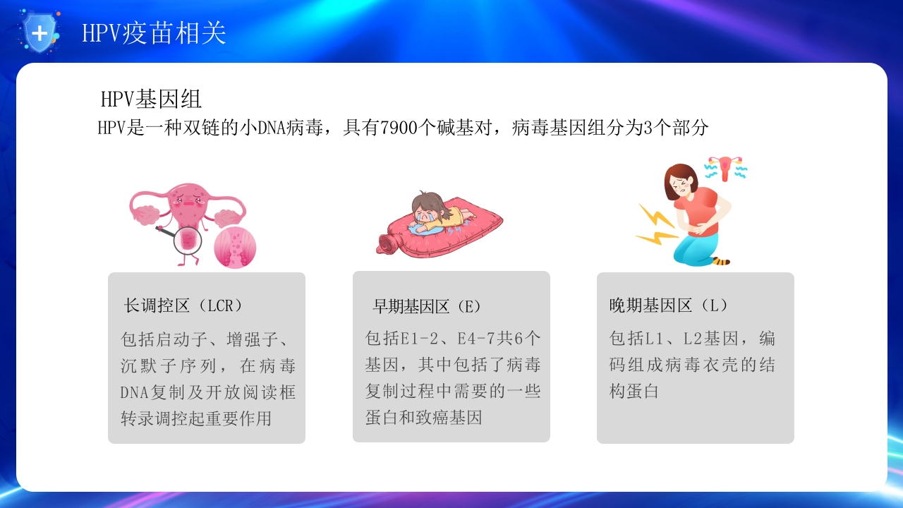 人乳头瘤病毒与宫颈癌的防治培训PPT课件25