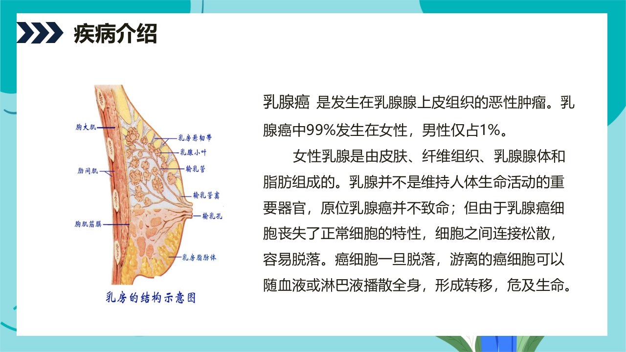 乳腺癌患者术后护理查房PPT课件4