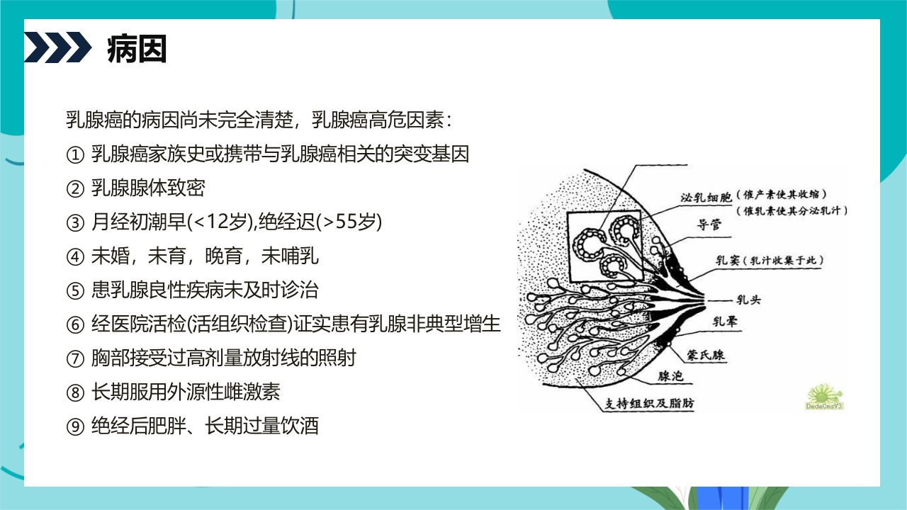 乳腺癌患者术后护理查房PPT课件5