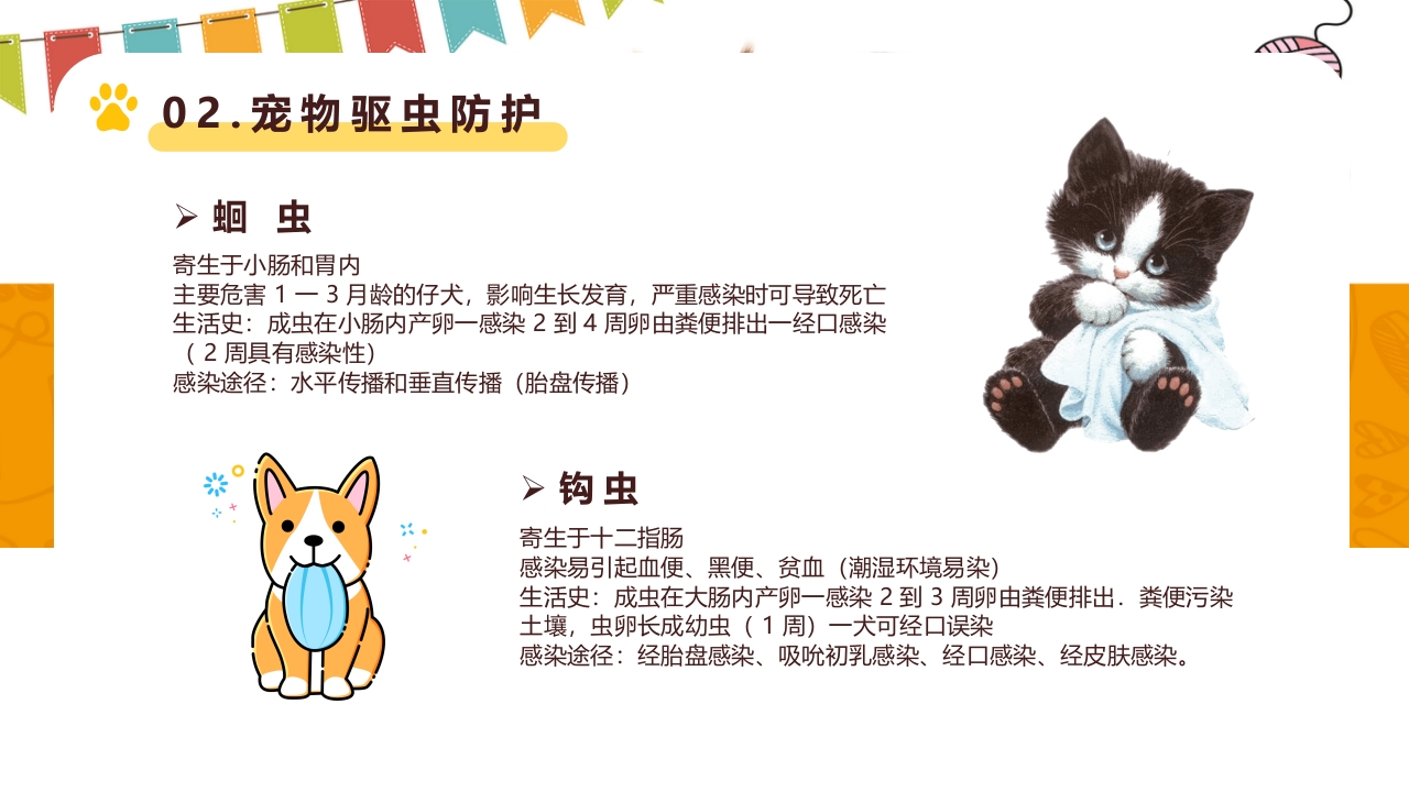 卡通风宠物健康护理知识讲解PPT课件10