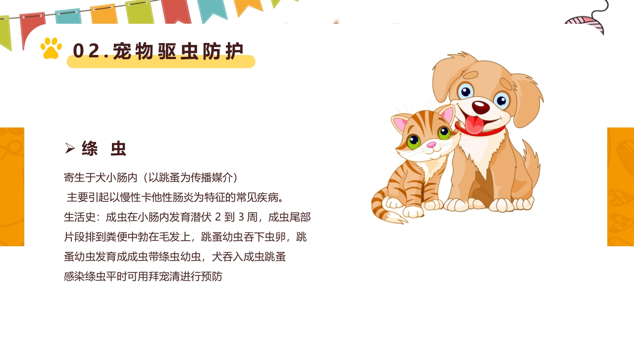 卡通风宠物健康护理知识讲解PPT课件11