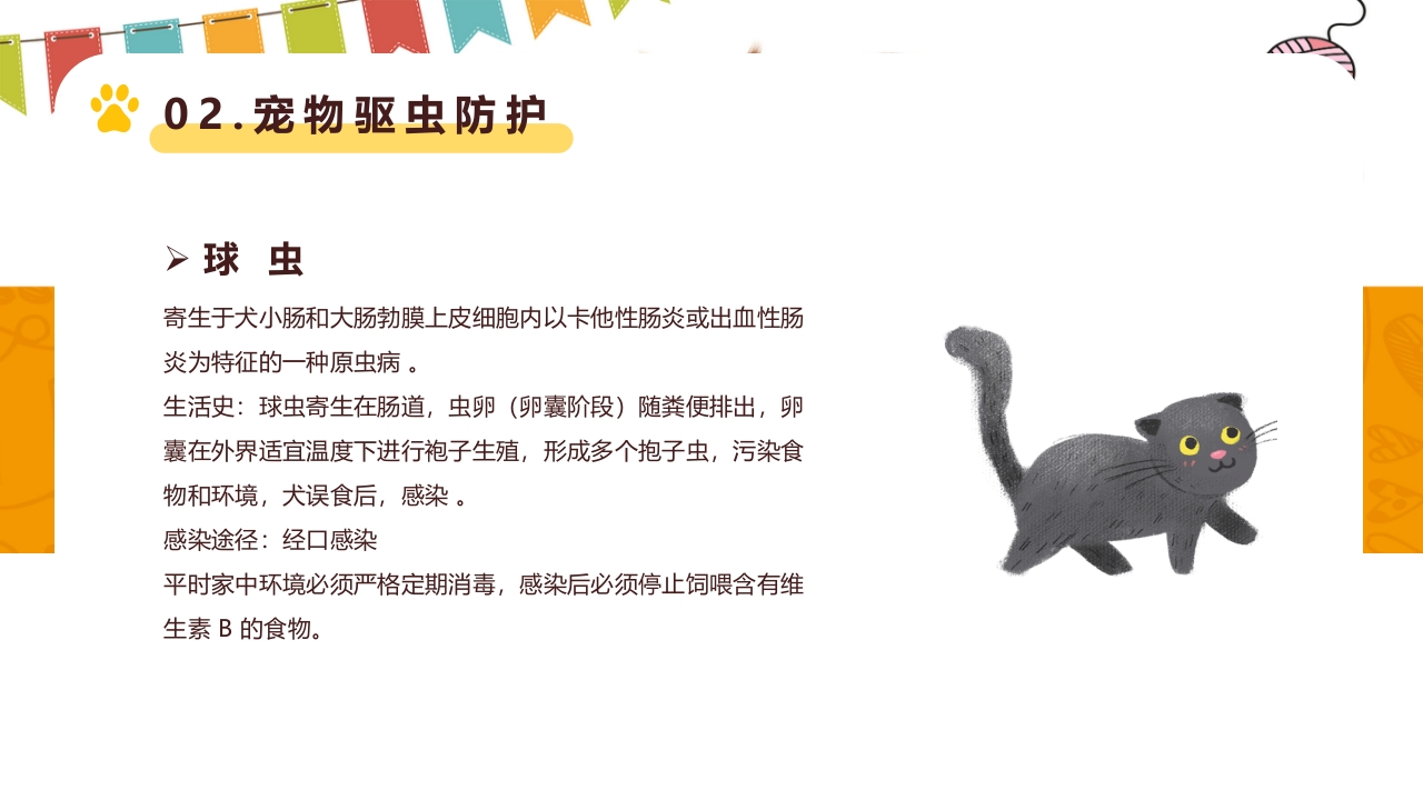 卡通风宠物健康护理知识讲解PPT课件12