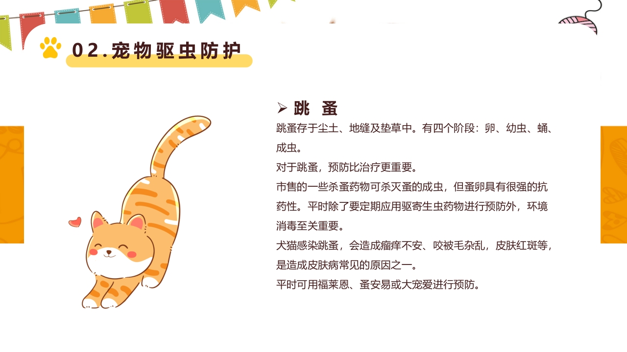 卡通风宠物健康护理知识讲解PPT课件14