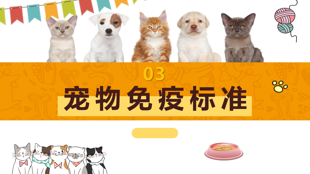 卡通风宠物健康护理知识讲解PPT课件17