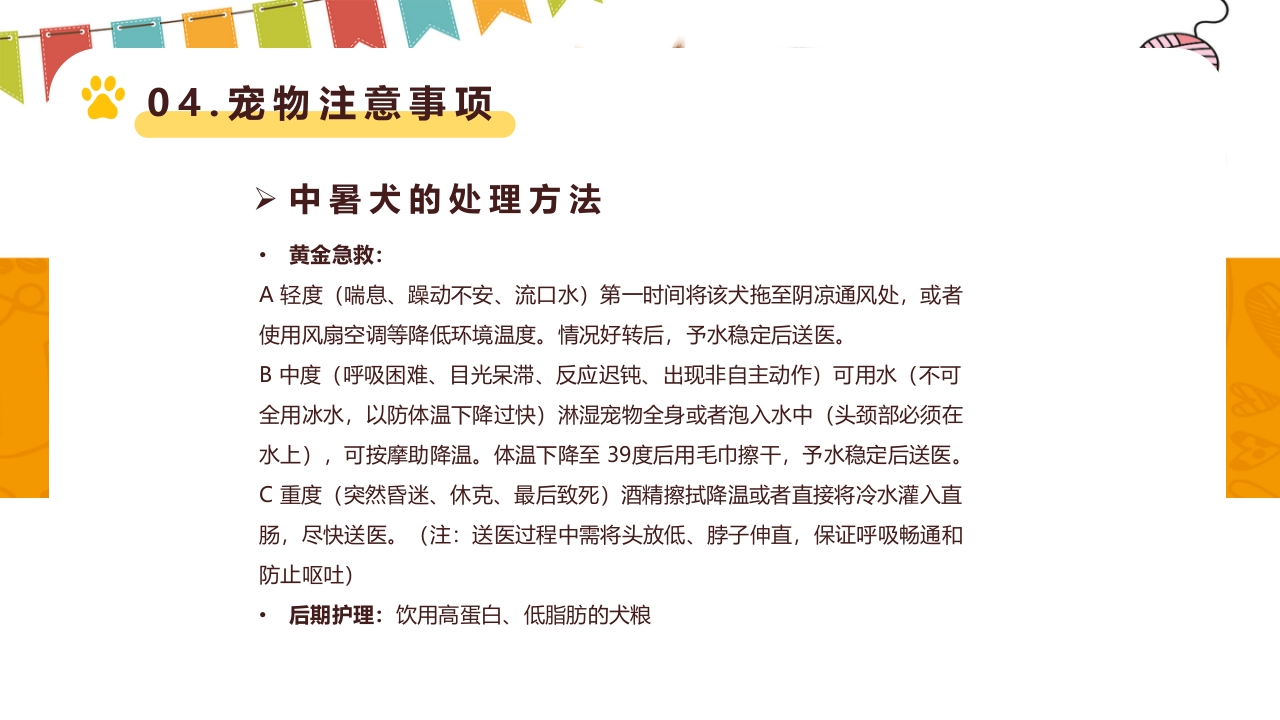 卡通风宠物健康护理知识讲解PPT课件23