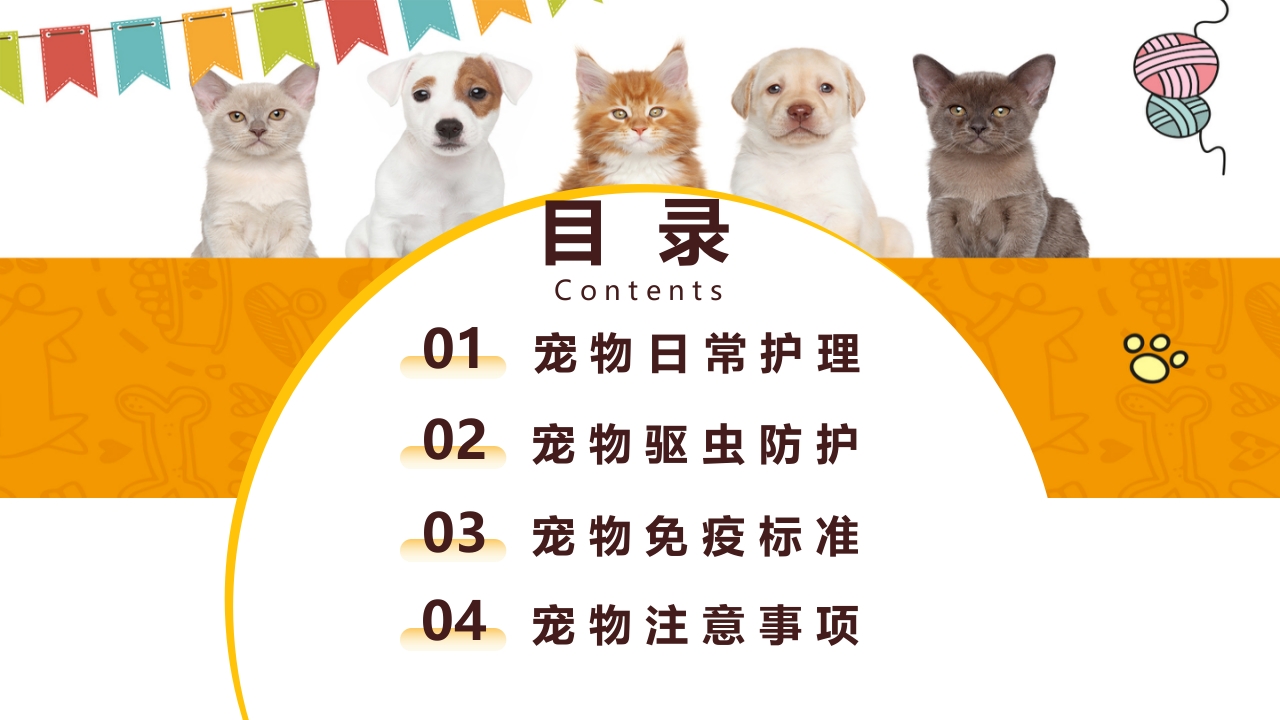 卡通风宠物健康护理知识讲解PPT课件2