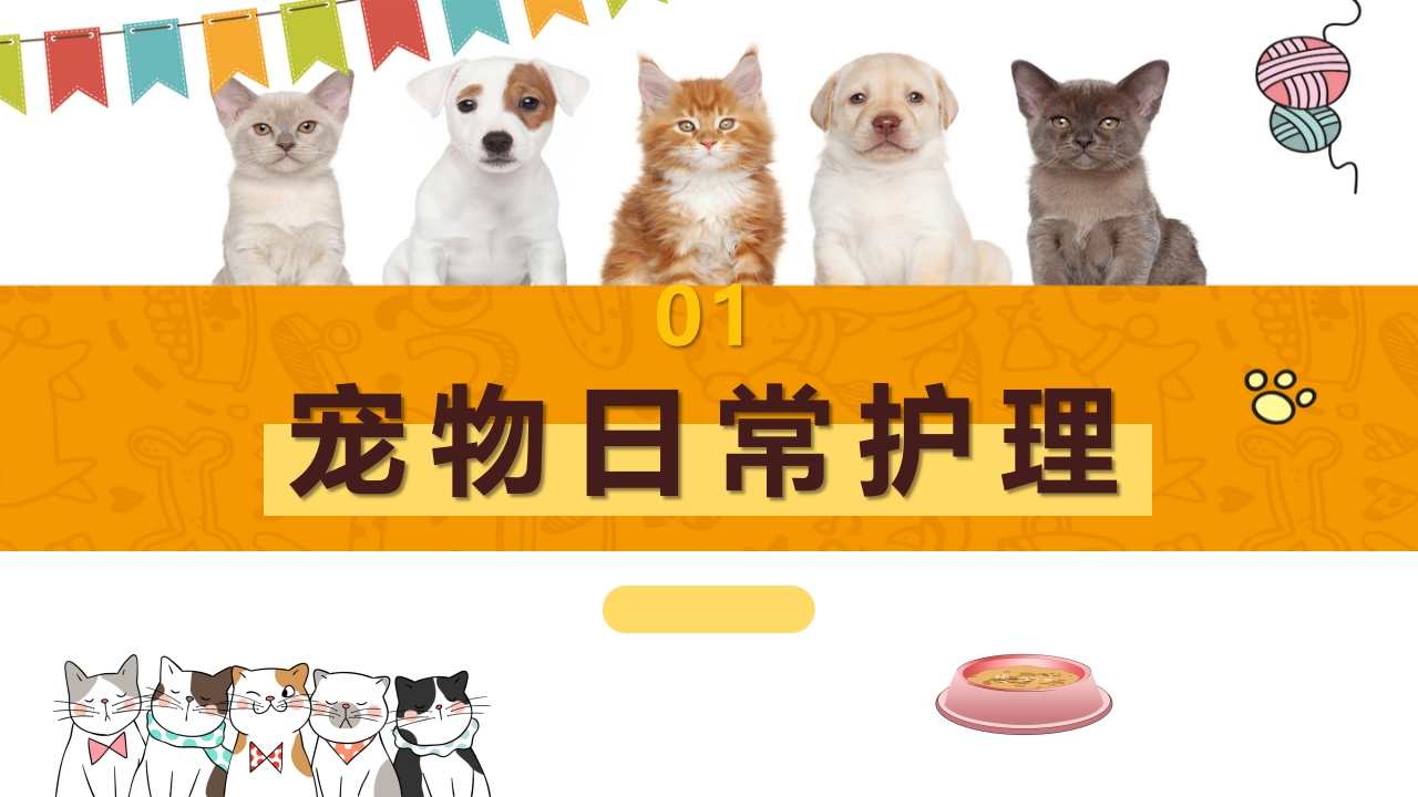 卡通风宠物健康护理知识讲解PPT课件3