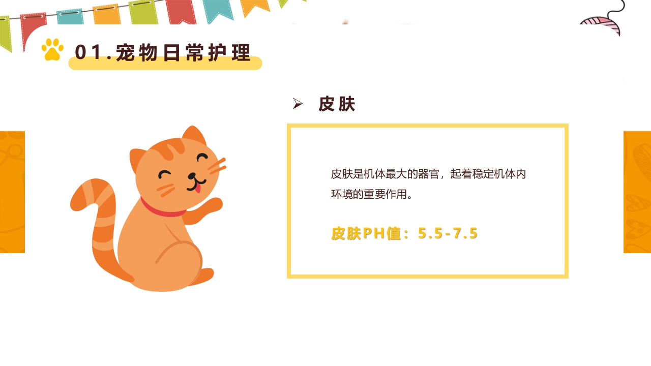 卡通风宠物健康护理知识讲解PPT课件4