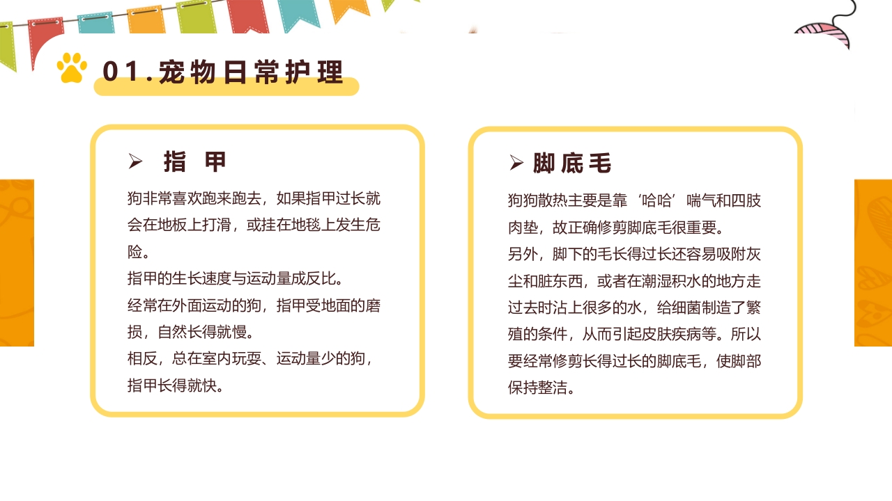 卡通风宠物健康护理知识讲解PPT课件5