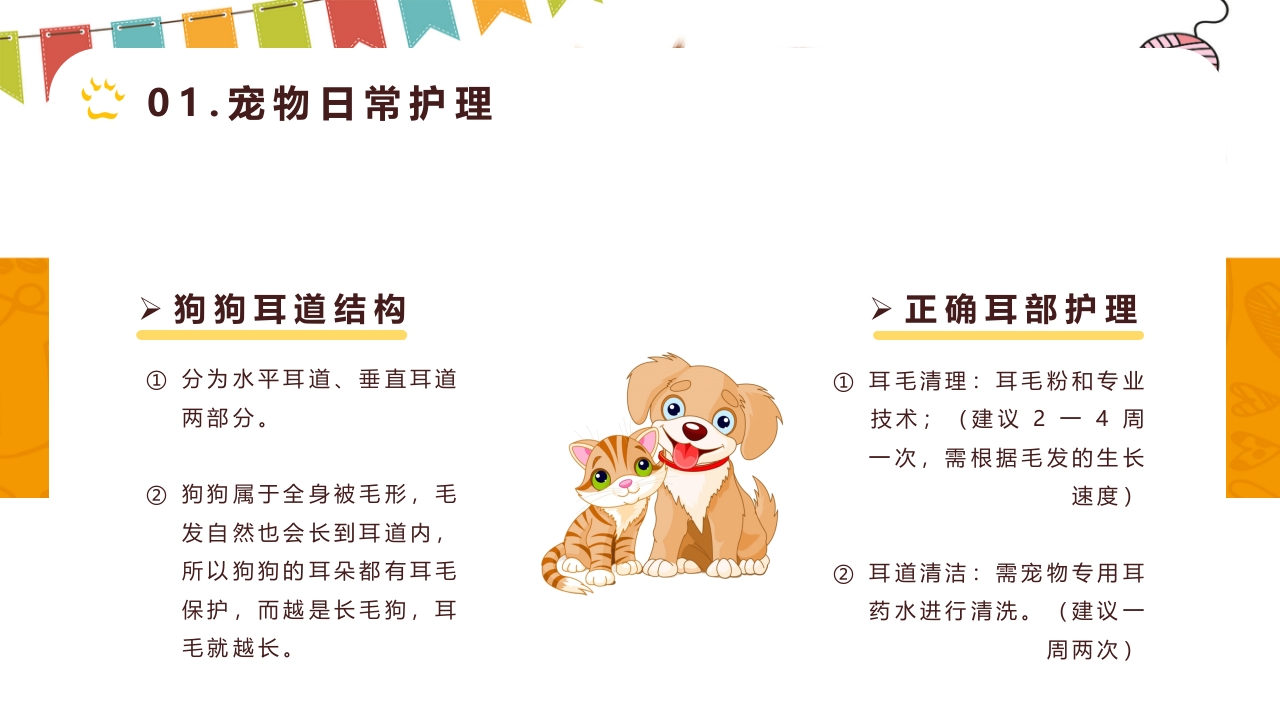 卡通风宠物健康护理知识讲解PPT课件6