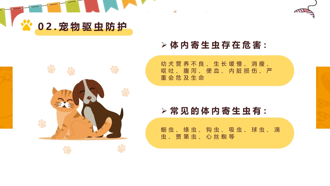 卡通风宠物健康护理知识讲解PPT课件9
