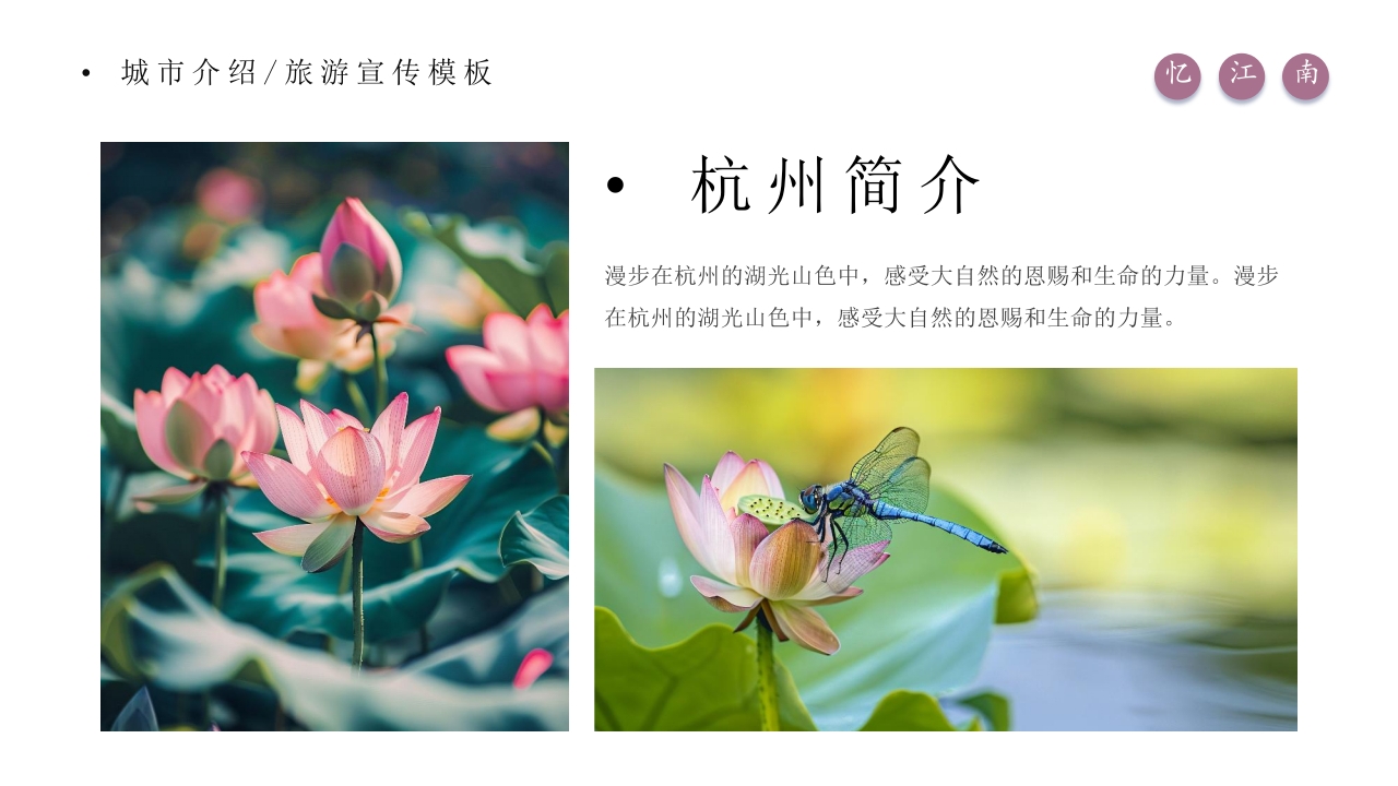 杭州城市介绍旅游旅行宣传PPT课件4