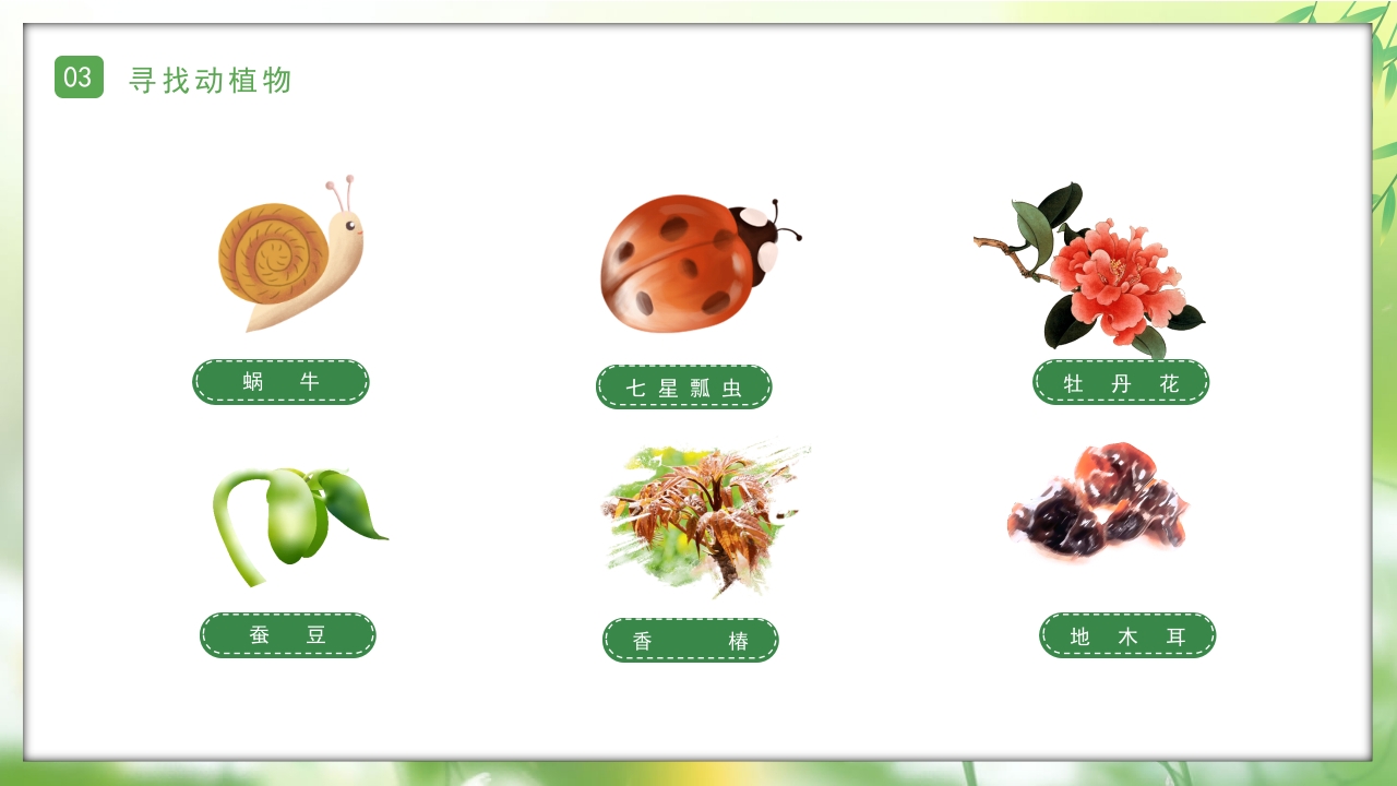 小清新知谷雨识习俗幼儿园谷雨节气科普PPT课件15