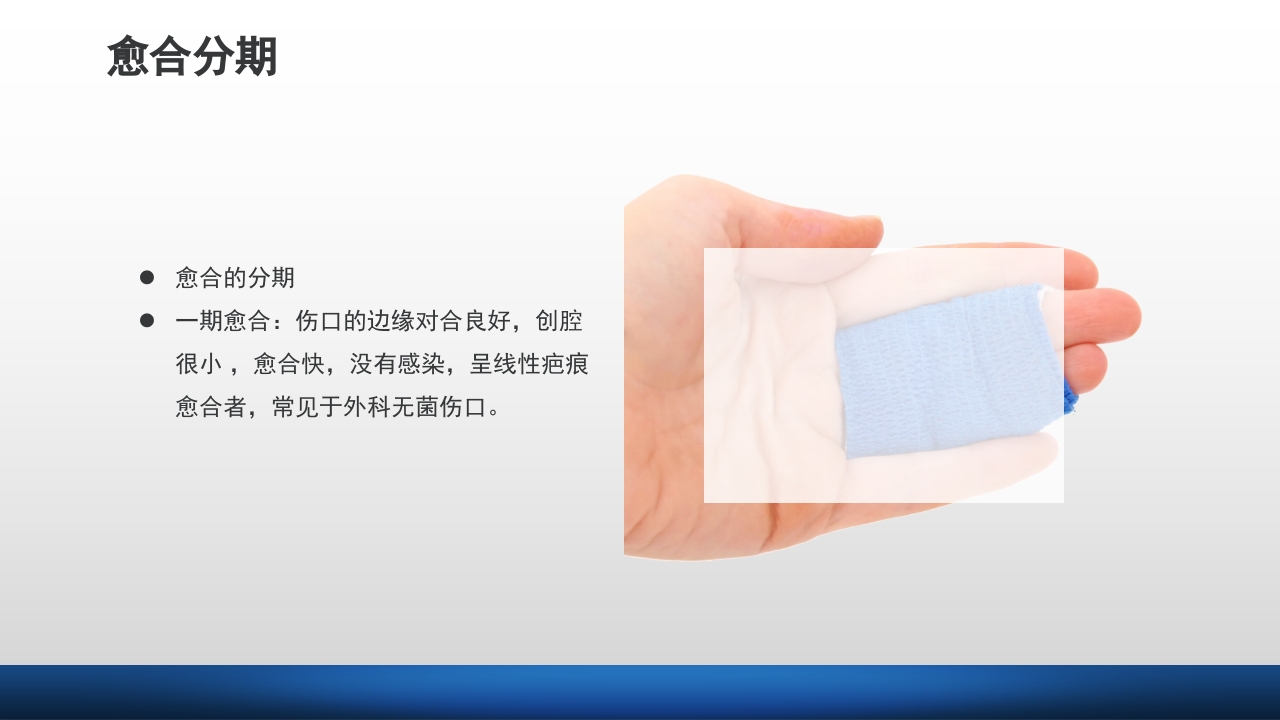 外科伤口护理技术PPT课件13