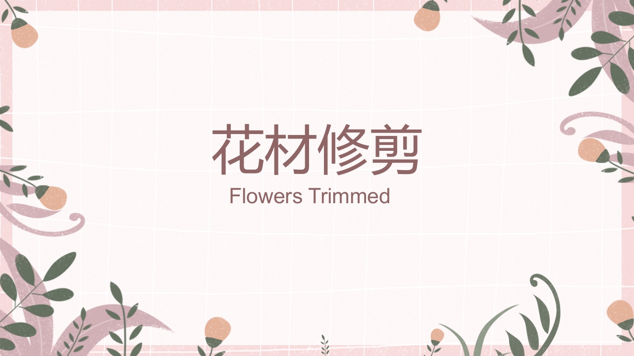 小清新花艺培训插花基本技能培训课件PPT课件11