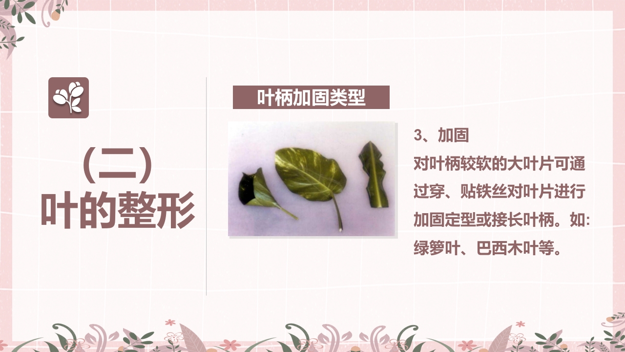 小清新花艺培训插花基本技能培训课件PPT课件8