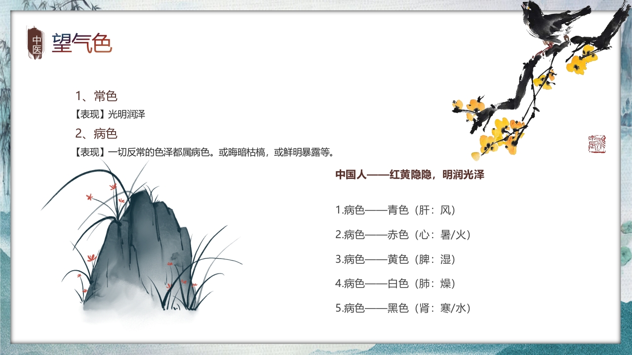 中国风中医望诊知识PPT课件5