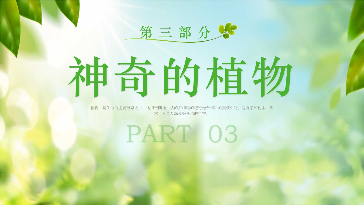 绿色植物介绍笔记植物科普知识课件PPT下载12