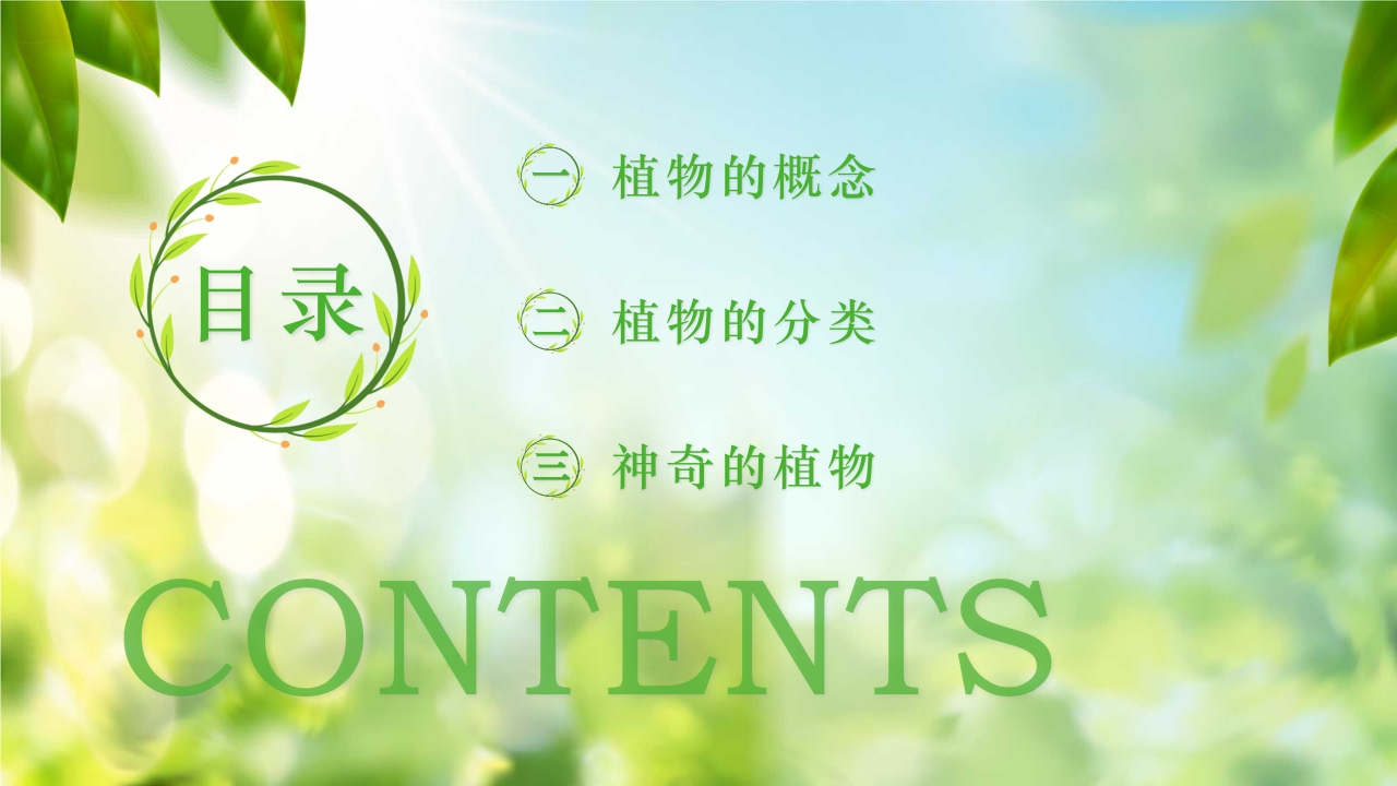绿色植物介绍笔记植物科普知识课件PPT下载2