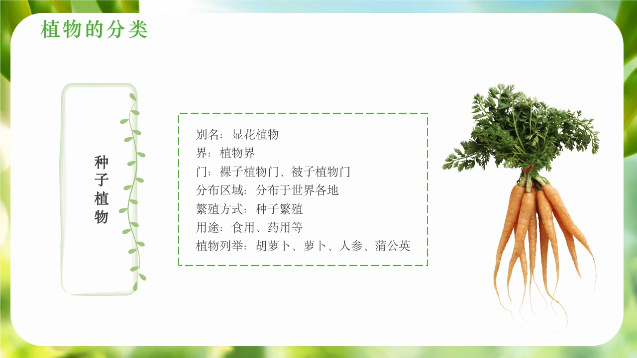 绿色植物介绍笔记植物科普知识课件PPT下载8