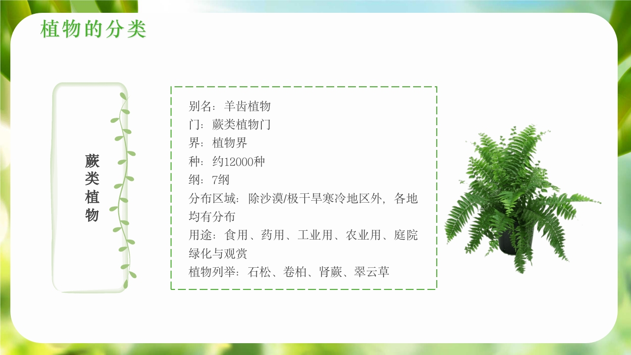绿色植物介绍笔记植物科普知识课件PPT下载9