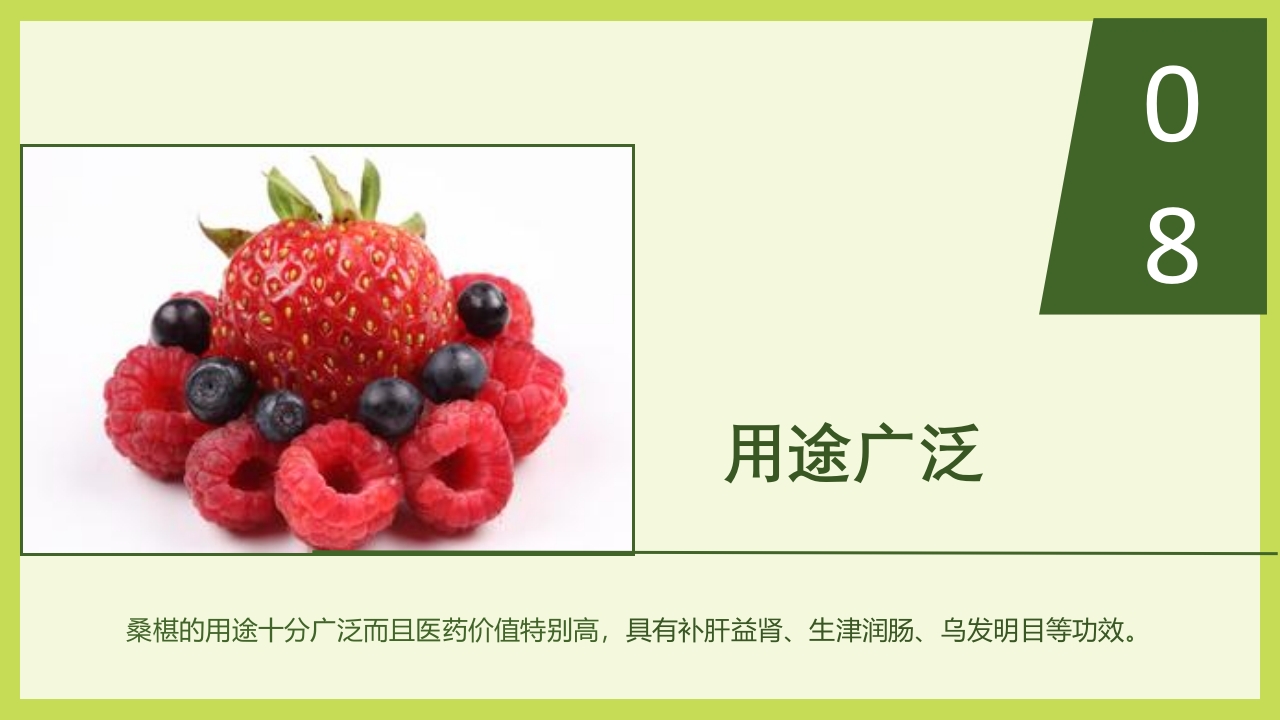 循着桑椹足迹·普及科学知识PPT课件16