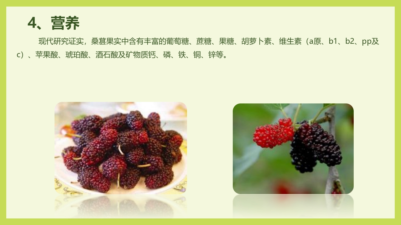 循着桑椹足迹·普及科学知识PPT课件20