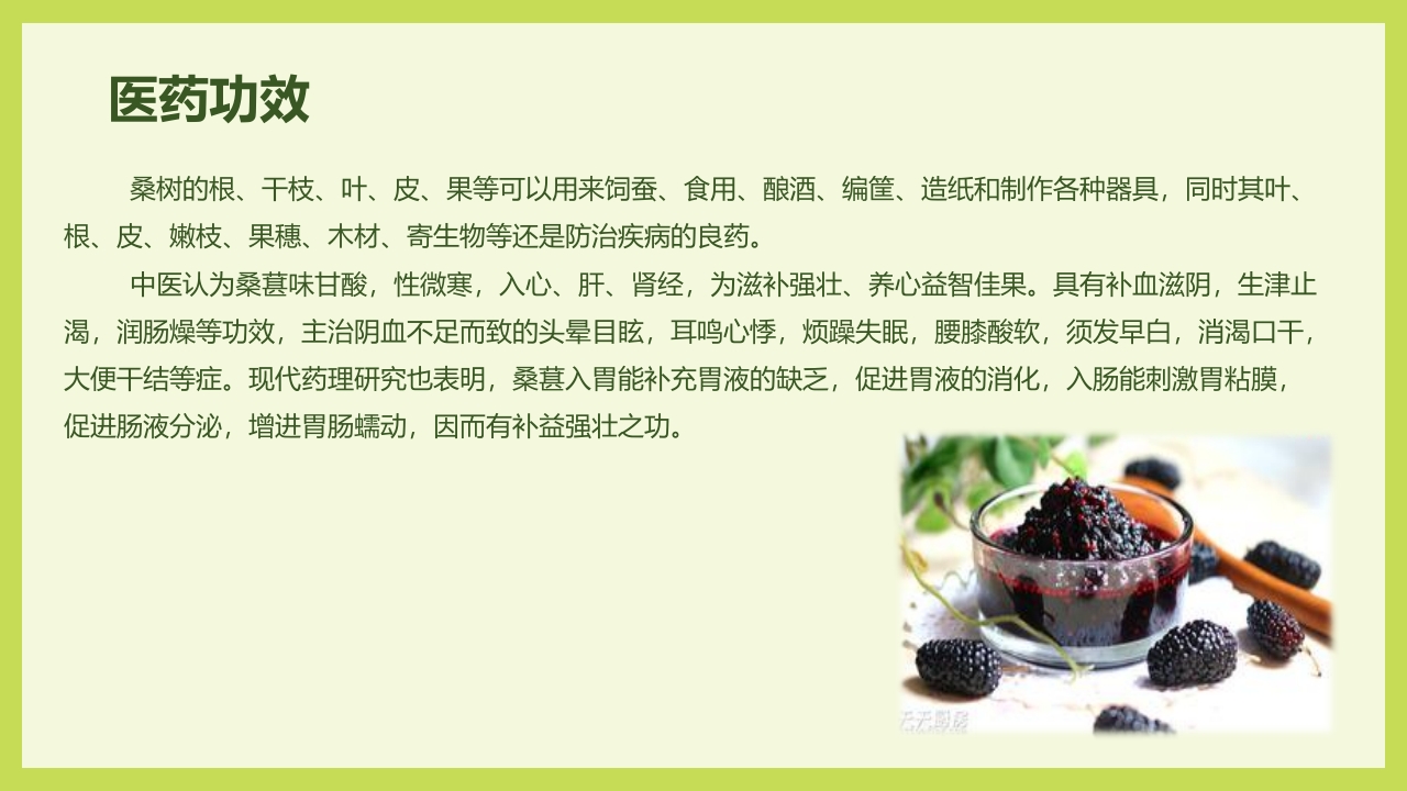 循着桑椹足迹·普及科学知识PPT课件23