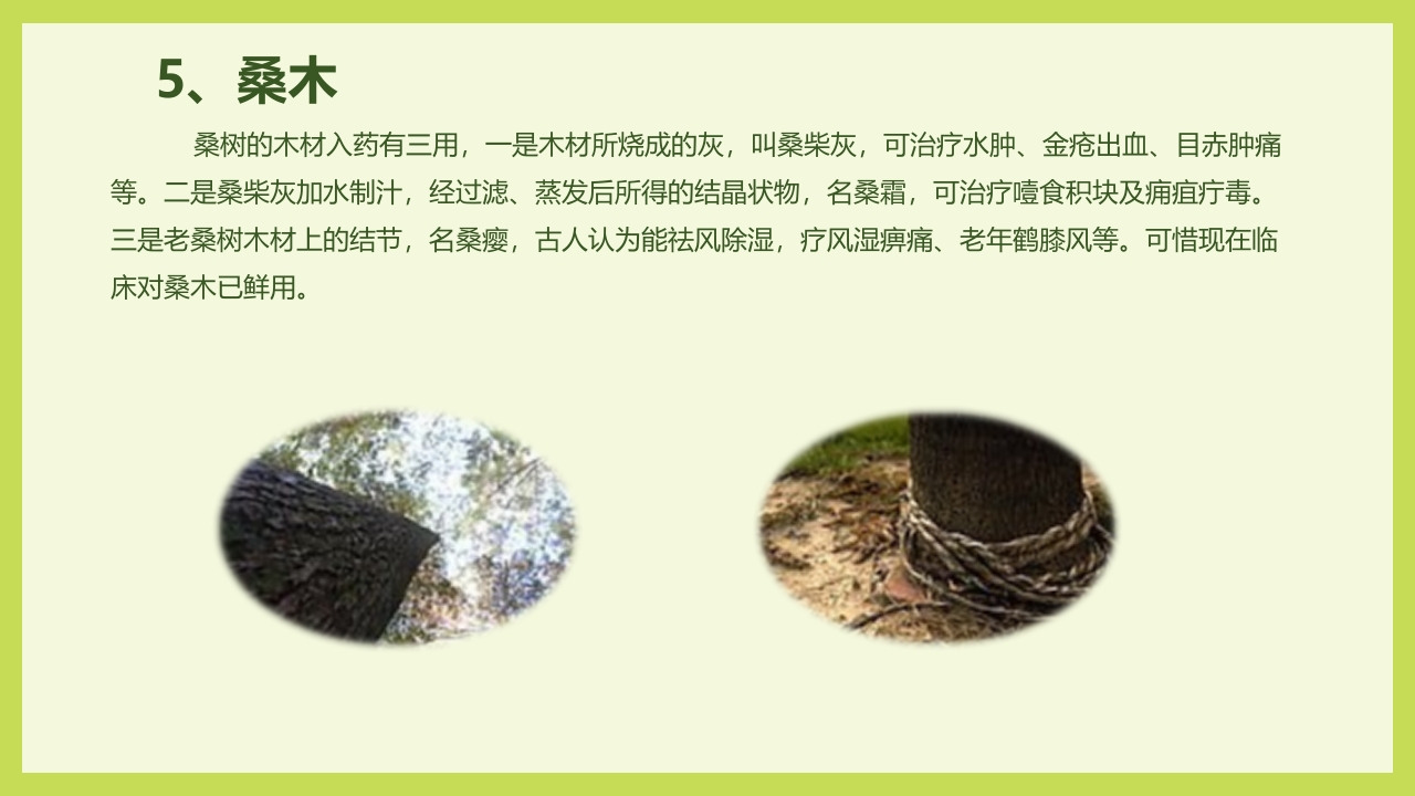 循着桑椹足迹·普及科学知识PPT课件25